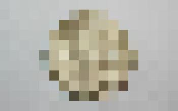 Монета. 20 копеек