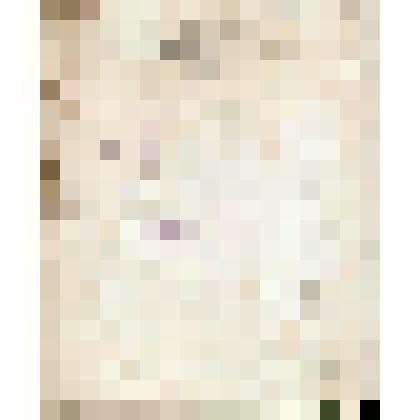 Книга "Приемка семги Н.П.Алина 1902 г."