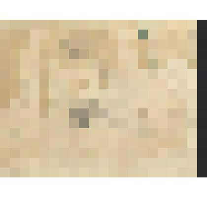 Рисунок. Выборг. 1944г