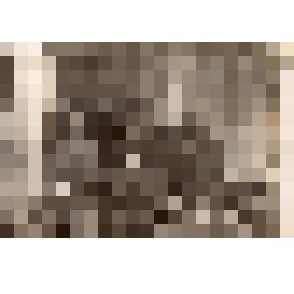 Фотография "Терехов Василий Герасимович среди фронтовых друзей"