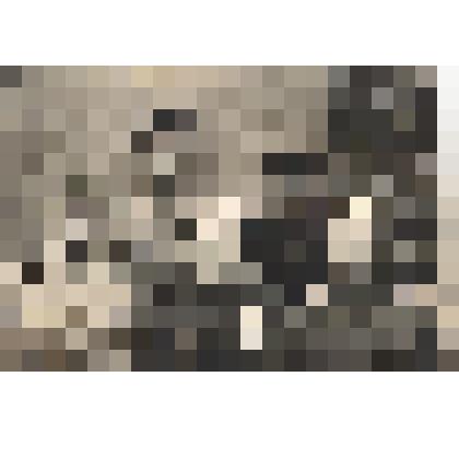 Фото черно-белое "М.Г.Ветров (в центре) - нарофоминец, участник обороны Ленинграда, участник боев на территории Польши и Германии среди фронтовых товарищей."