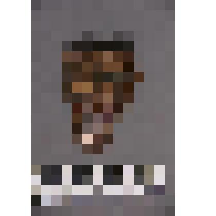 коллекция В.Ф. Лагодича. Талисман на металлической пластине в виде лица человека с бородой. С обратной стороны припаяна металлическая пластина. Выступающие края которой разрезаны в виде волос