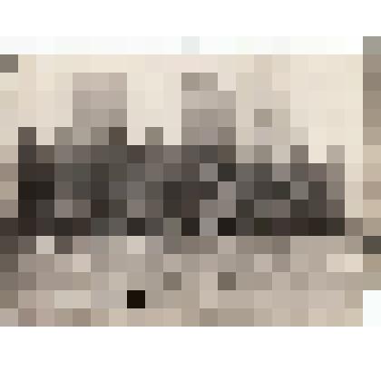 Ф/чб. Офицеры 15 гв.стрелкового корпуса и 148-й стрелковой дивизии после разбора боевых операций. Низ слева: 4 - к-р 148 СД Мищенко Андрей Авксентьевич, 6 - к-р 15 ГСК г-л/п-к Людников Иван Ильич и др. Украина. Май 1944