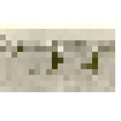 Фотография: отдых ребят на стадионе с.Крутиха Каменского района Алтайского края