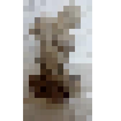 Скульптура "Аняпель"