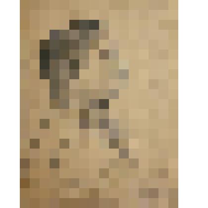 Экскаваторщик