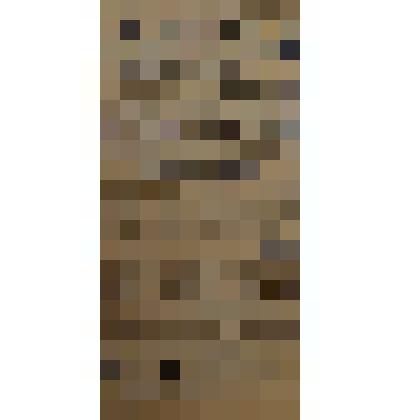 "Радио-Соловки". Приложение к газете №2 (54) "Новые Соловки". О. Соловки, типо-лит. УСЛОН-ОГПУ