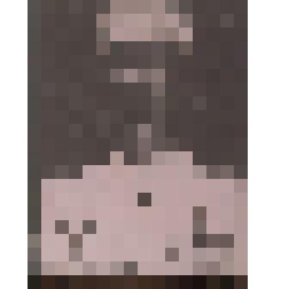 Негатив. Стариков Д.А., гвардии старший лейтенант. Герой Советского Союза