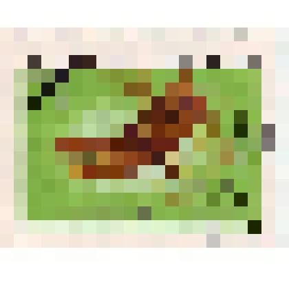 Марка почтовая. Вьетнам. Стрекоза бурый лесной скиммер