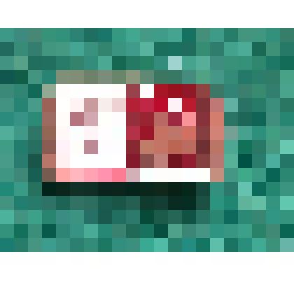 Значок."ХХV съезд КПСС."