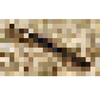 Насадка - рейсфедер одинарный Давыдова Л.Н. из коллекции материалов Давыдова Леонида Николаевича, старшего инженера Саратовского областного радиотелевизионного передающего центра, и его жены Давыдовой Натальи Андреевны, старшего инженера передвижной телес