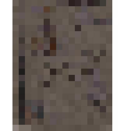 Книга: Стихотворения А.В. Кольцова, составлено Н.Я. Страховым, издание 4-е, печатанное без перемен с 1-го. Москва, издание книгопродавца А.Д. Ступина, 1901 г. На форзаце овальный фиолетовый штамп "Библиотека В.В. Литвинова…". На 3-ей странице обложки авто