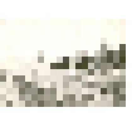 Фотография: первый паровоз на железнодорожной линии Карасук-Камень