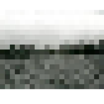 Фотография. Рожь. Устье р. Миль