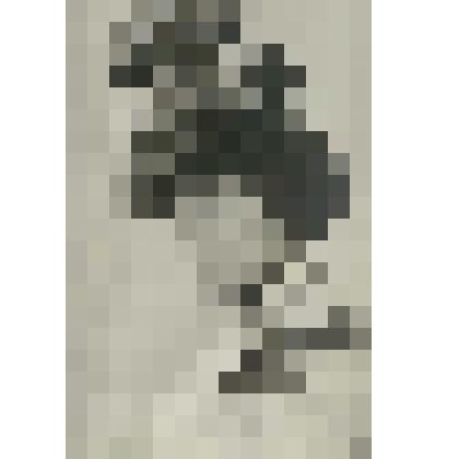 Фотооткрытка. «Балетта»