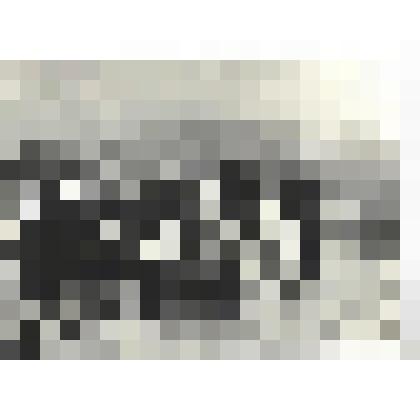 Фотографии. Фото ч/б. В дни 30-летия разгрома фашистов под Новороссийском и на Малой Земле собрались его героические защитники, 1973 г