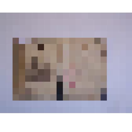 Билет для входа в Императорский Николаевский Университет Федосова Н.С