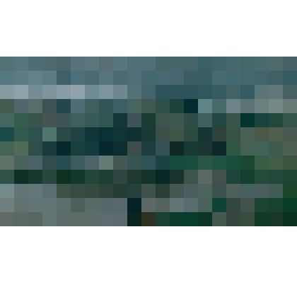 Картина. На Казохе