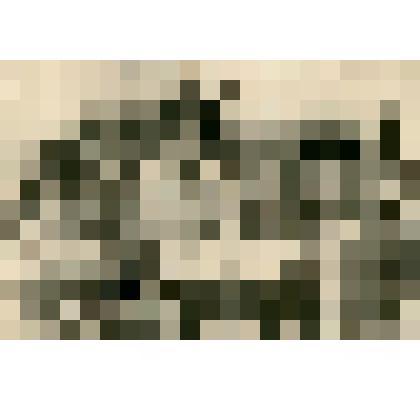 Групповой снимок. Егоров Николай Васильевич с женой и детьми. Сзади стоит девушка