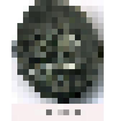 Монета. Аскр. Кафско-генуэзский выпуск. 1450-1475 гг