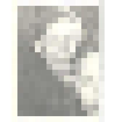 Фотография ударников коммунистического труда совхоза им. В.И.Ленина. Фотография Муруновой Д.Н