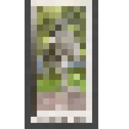 Карточка почтовая маркированная художественная двусторонняя. РФ. ИТЦ "Марка"-2016-186/5. Воронеж. Памятник фронтовому почтальону. "В". 20. 10. 2016