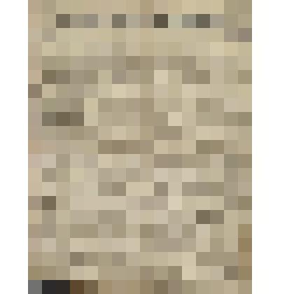 Газета. Русское знамя. № 243 (2 л.;)