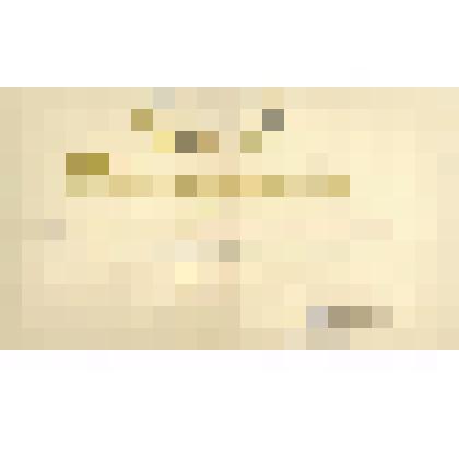 Документ. Диплом второй степени Министерства уультуры РСФСР Виноградову Юрию Федоровичу, создавшему оформление к спектаклю Кинешемского городского драматического театра им.А.Н.Островского "Невольницы" на Всероссийском смотре спектаклей.  Из коллекции мате