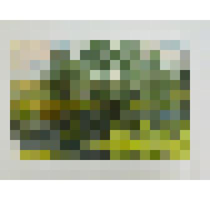 Акварель. Августовский день