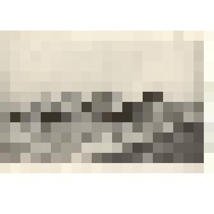 Фотография: механическое сволакивание сена на лугах совхоза "Путь Ильича" Каменского района Алтайского края