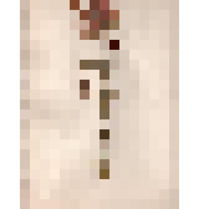 Гербарий. Душица