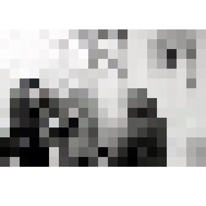 Негатив. М.А. Шолохов среди родственников и знакомых во дворе дома