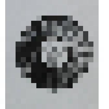 "Пластинка с песнями Б. Акуджавы" к  книге "Мемуар"  А.И. Кузьминского. В бумажной рамке. Иллюстрация