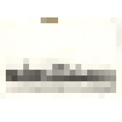 Фотография: вид пристани г.Камень-на-Оби Алтайского края с реки