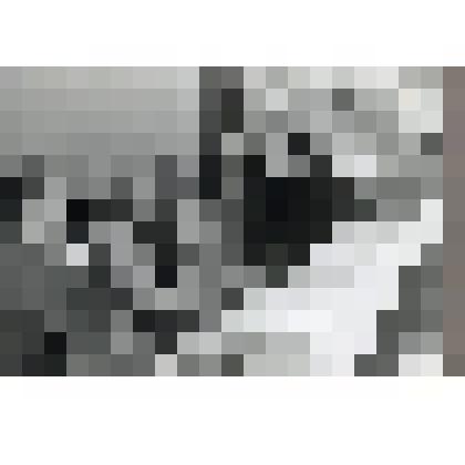 Фото групповое. Празднование дня Победы в Краеведческом музее. г. Подольск, 1978 г