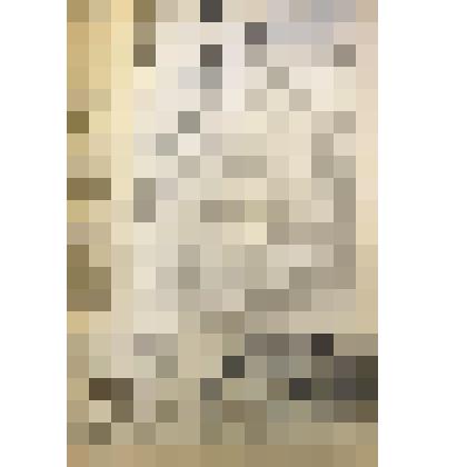 Газета. «Серп и Молот» - орган Клинского городского комитета КПСС и городского Совета депутатов трудящихся Московской области. № 103 (8162) от 28 августа 1975 г