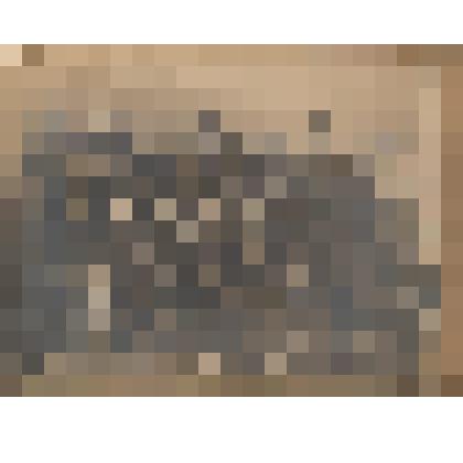 Фотография черно-белая групповая