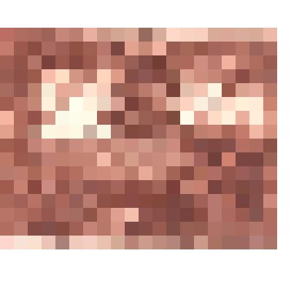 «Граммофон». 1917-1918