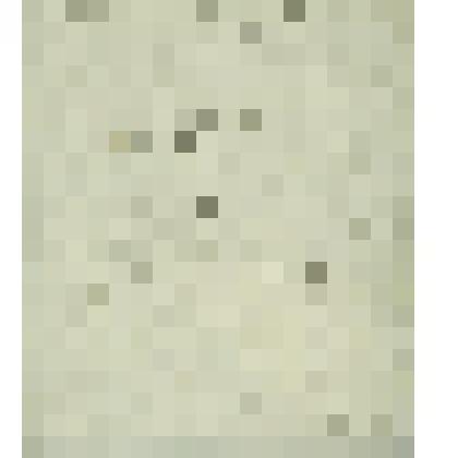 Сообщение Сольвычегодского городового магистрата в Сиротский суд