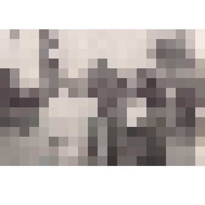 Участники ЧОН