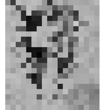 Рисунок. "Художница"