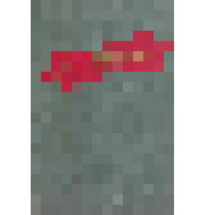 Книга. "М.В. Фрунзе. Жизнь и деятельность"