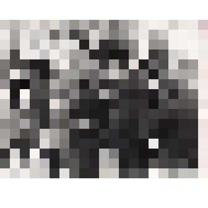 Фото: «Митинг по открытию бюста Л. В. Кокышева»  и «Митинг по открытию мемориальной доски на доме где, жил Л. В. Кокышев»