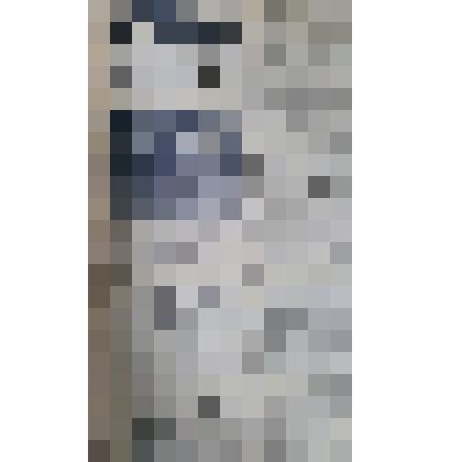 Газета "Адлерская правда"
№146 (3262) от 09.12.1960 г