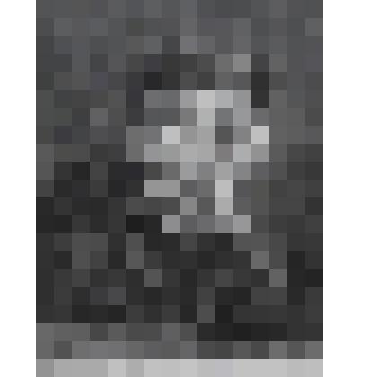 Портрет молодого человека