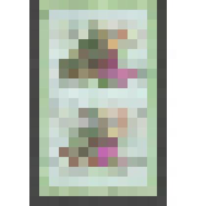 Лист почтовых марок. Серия "Флора России"