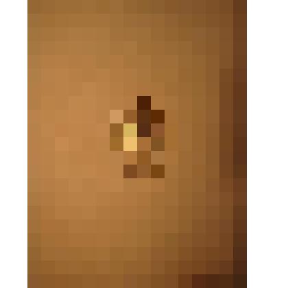 Жетон с изображением Л.Н.Толстого