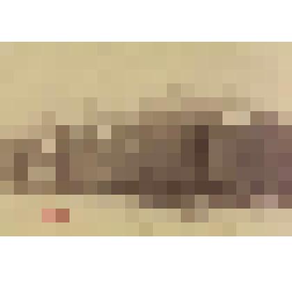 Фотография-сепия. Прием почты в вагон Московско-Курской железной дороги