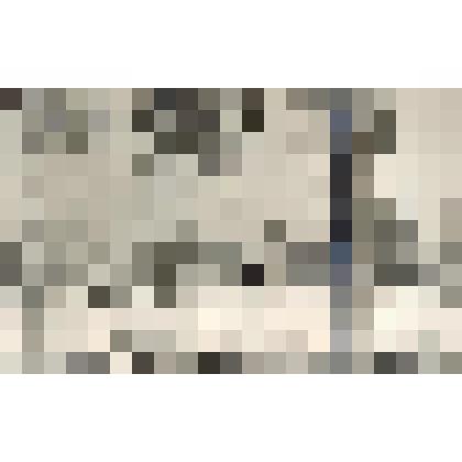 Фотография черно-белая. Строительство каменного города у створа плотины