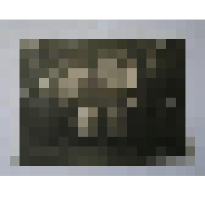 Фотография. И.П. Павлов с семьей на могиле у родителей. Рязань, 1935 г